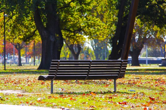 park bench in a park